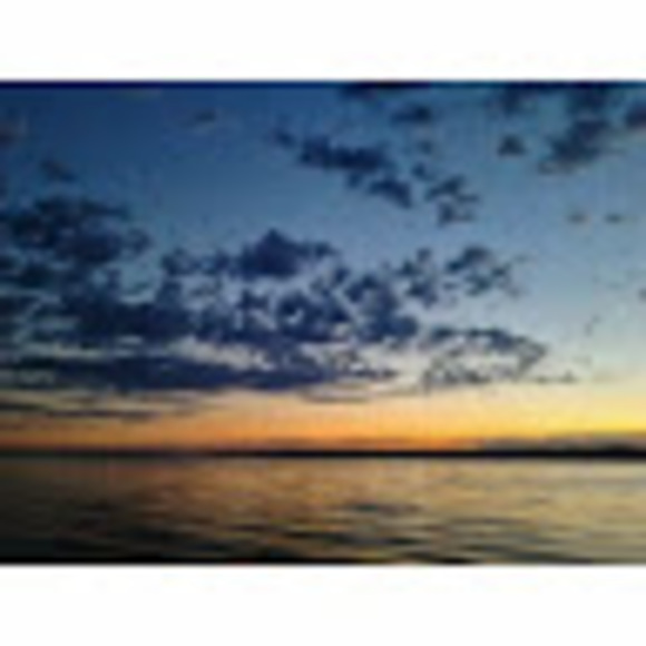 Meet your Posher, Lanika - Picture 1 of 1